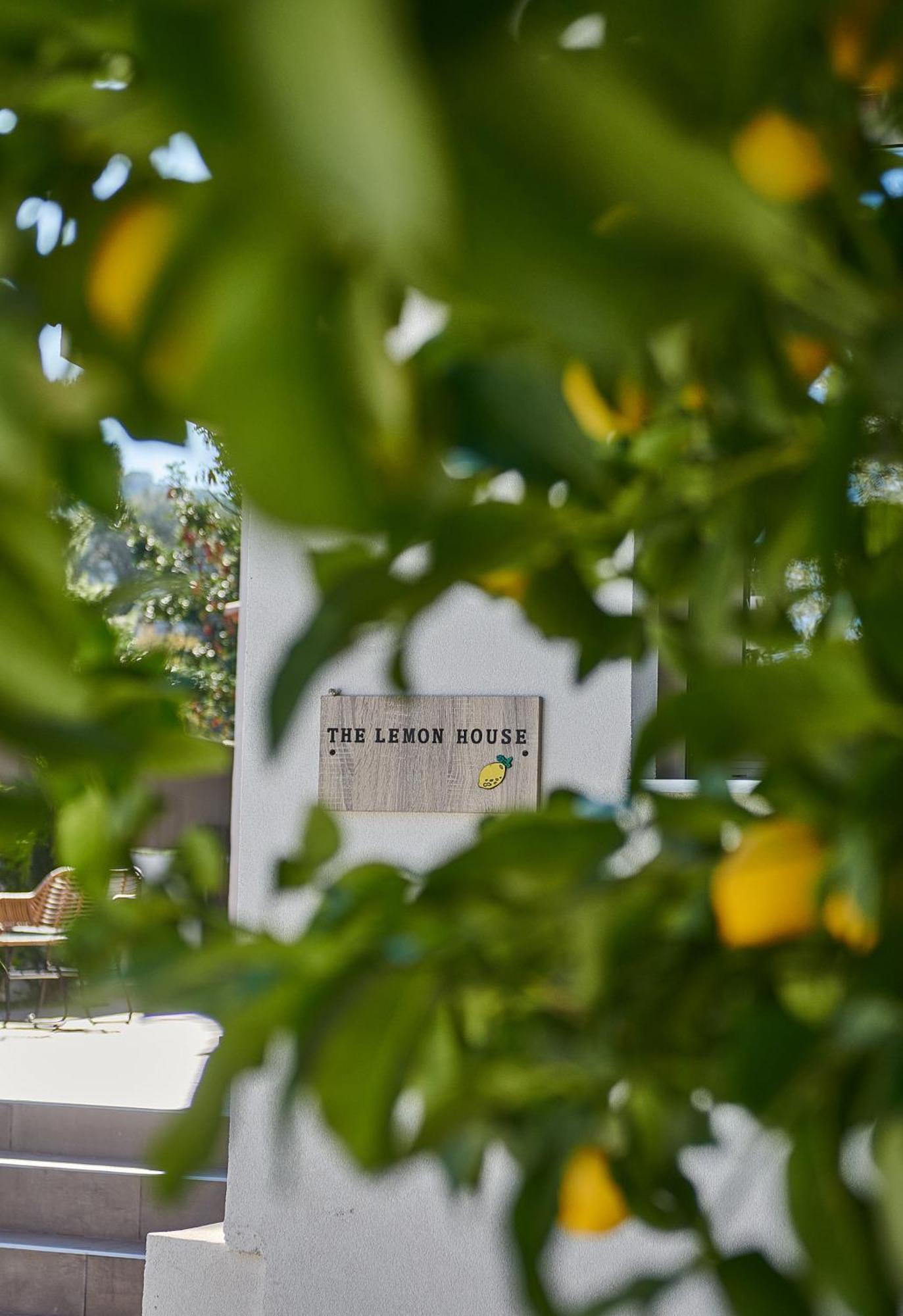 Апартаменты The Lemon House Луца Экстерьер фото